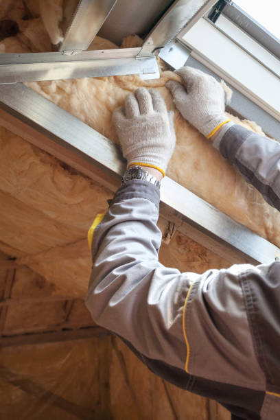 Best Eco-Friendly Insulation in Edwardsville, PA