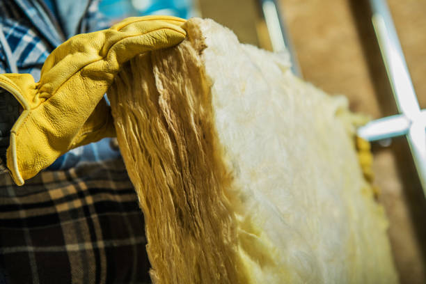 Types of Insulation We Offer in Edwardsville, PA