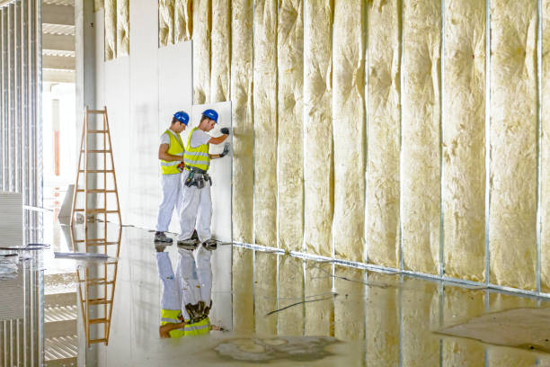 Best Insulation Maintenance and Repair in Edwardsville, PA